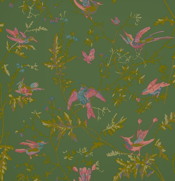 Cole&Son 124/1005 Selection of Hummingbirds, Hummingbirds - tapeta w kolibry