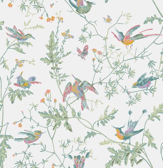 Cole&Son 112/4016 Selection of Hummingbirds, Hummingbirds - tapeta w kolibry