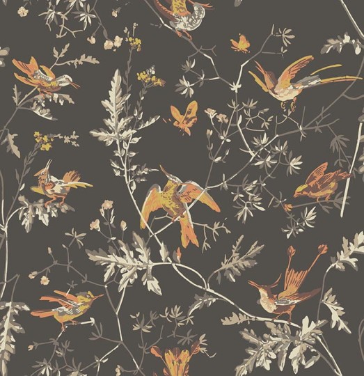 Cole&Son 112/4017 Selection of Hummingbirds, Hummingbirds - tapeta w kolibry