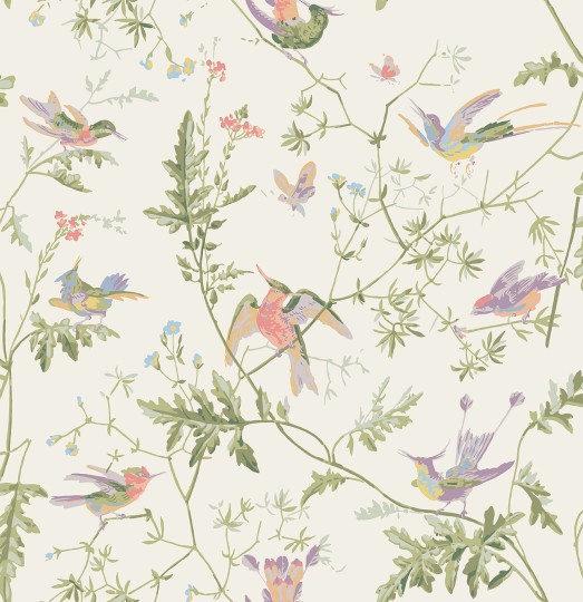 Cole&Son 100/14067 Selection of Hummingbirds, Hummingbirds - tapeta w kolibry