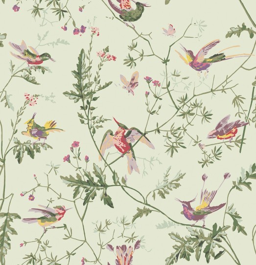 Cole&Son 100/14070 Selection of Hummingbirds, Hummingbirds - tapeta w kolibry