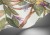 30dde95ea5bc5354e3df12508c54caf1