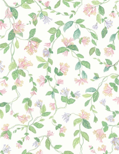 Cole&Son 124/3015 Selection of Hummingbirds Flora - tapeta wiciokrzew