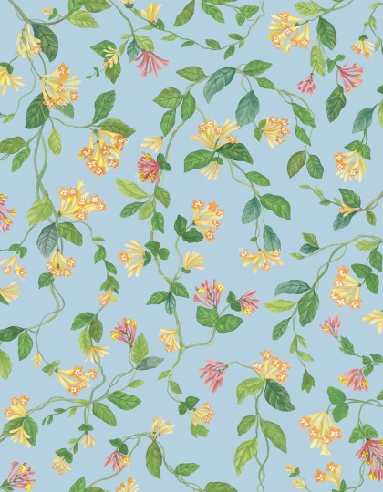 Cole&Son 124/3018 Selection of Hummingbirds Flora - tapeta wiciokrzew