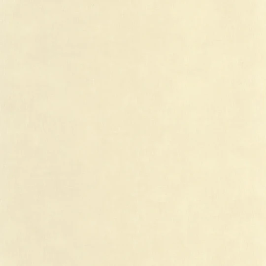 Casadeco 200251303 Etamine Beige sable - tapeta imitująca tkaninę na tweedowej bazie