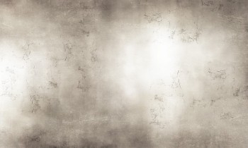 9bca48ba1244d0c237682c034390b060