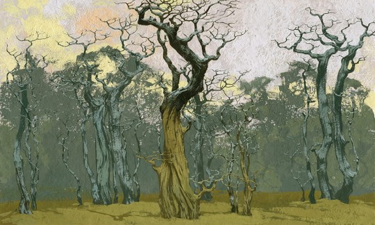 Wonderwall 35 0558 08 Fangorn - mural w drzewa