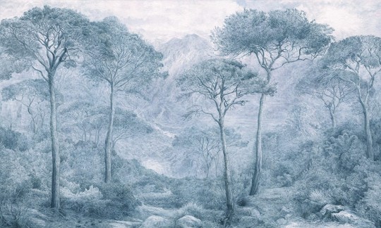 Wonderwall 35 0562 03 Bellagio - mural w motyw egzotycznego lasu