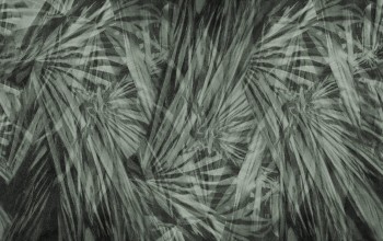 402702d54b4f93d86608c5d86ea1e5aa