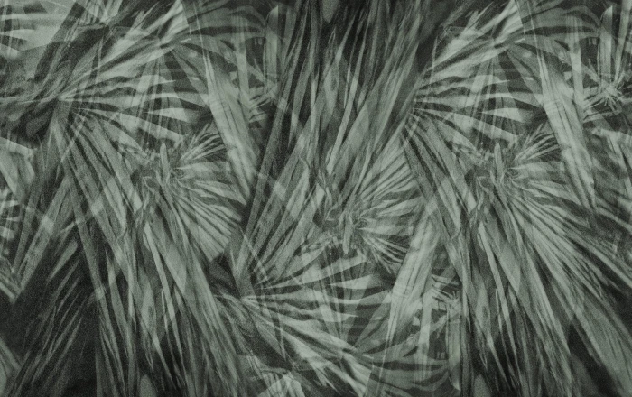 402702d54b4f93d86608c5d86ea1e5aa