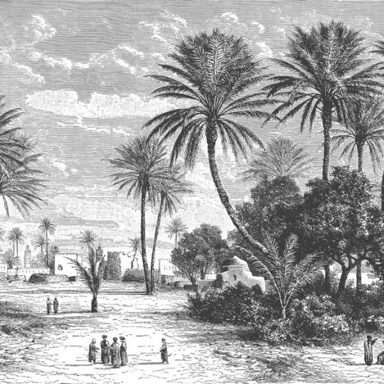 Les Dominotiers DOM_12/3_SM Volume 2 Oasis - mural w czarno-biały krajobraz