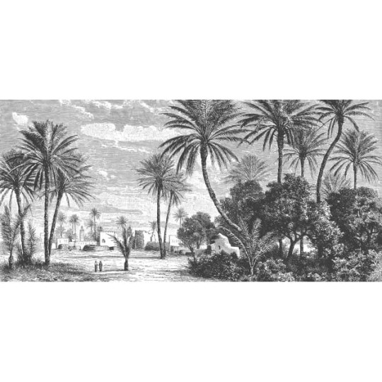 Les Dominotiers DOM_12/3_SM Volume 2 Oasis - mural w czarno-biały krajobraz