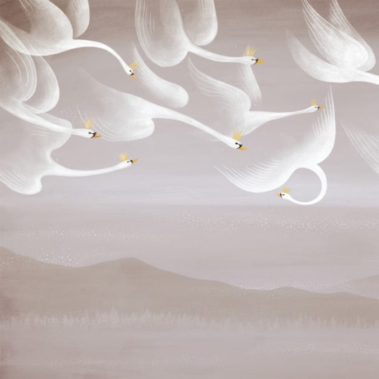 Les Dominotiers DOM_809-1 A World of Tales Onze cygnes sauvages - mural w łabędzie