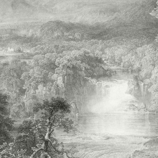 Les Dominotiers DOM_12/1_SM Volume 2 Le coeur des andes - mural w górzysty pejzaż i drzewa