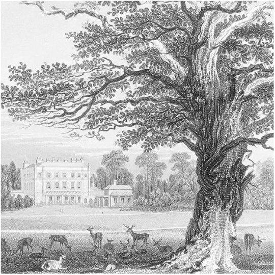 Les Dominotiers DOM_12/2_SM Volume 2 Adelaïde - mural w angielski ogród