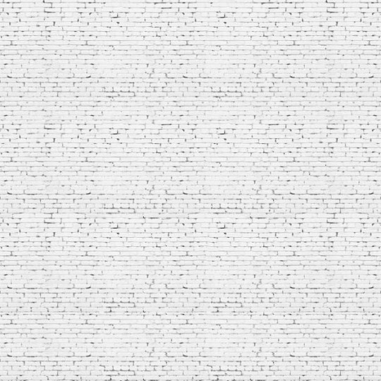 Les Dominotiers DOM_404_SM Volume 6 Textures Brut Grunge Brick Wall Blanc - mural imitujący białą ścianę ceglaną