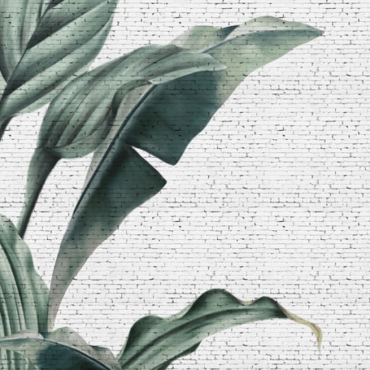 Les Dominotiers DOM_405_SM Volume 6 Textures Brut Tropical Grunge Brick Wall Blanc et Vert - mural w duże liście na ceglanej ścianie