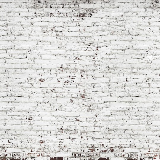 Les Dominotiers DOM_407_SM Volume 6 Textures Brut Rough Brick Wall Blanc - mural imitujący białą ceglaną ścianę