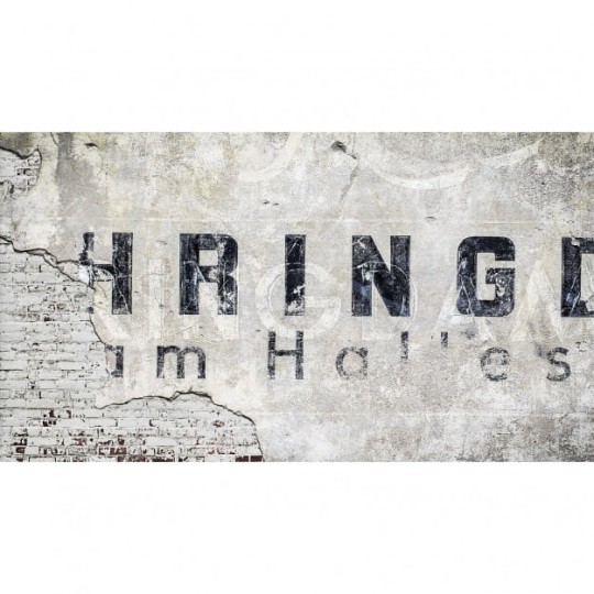 Les Dominotiers DOM_409_SM Volume 6 Textures Brut Letters & Rough Brick Wall Blanc et Noir - mural imitujący zniszczoną ścianę ceglaną w litery