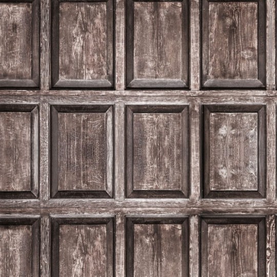 Les Dominotiers DOM_426_SM Volume 6 Textures Brut Old Wood Panels Marron - mural imitujący drewniane panele