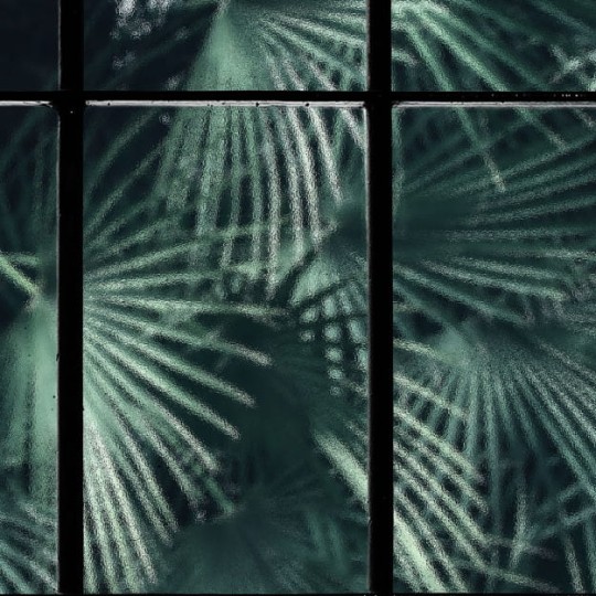 Les Dominotiers DOM_435_SM Volume 6 Textures Brut Tropical Window Vert - mural w roślinny motyw z industrialnym akcentem