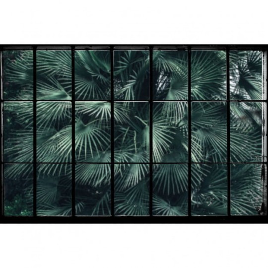 Les Dominotiers DOM_435_SM Volume 6 Textures Brut Tropical Window Vert - mural w roślinny motyw z industrialnym akcentem