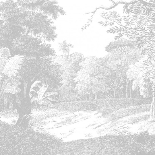 Les Dominotiers DOM_610_SM Volume 8 Moris Ebony Forest - mural w egzotyczny las