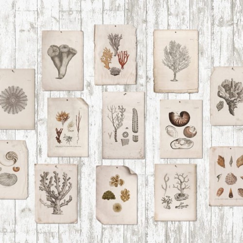 8221c40bd160c23fee674f8d5b49ea0a