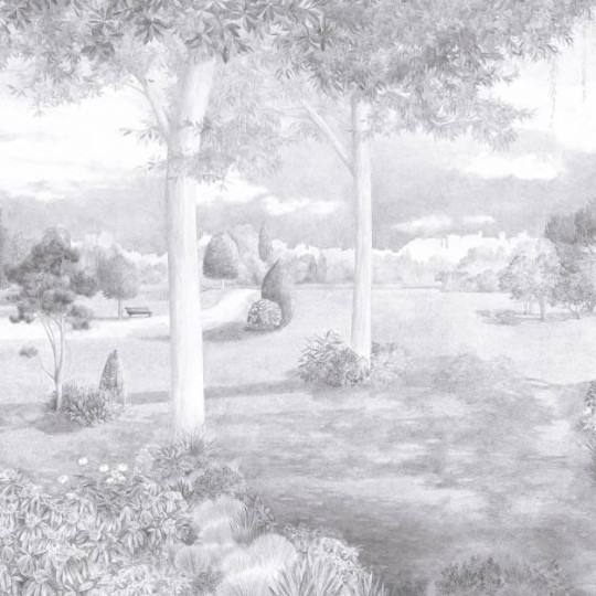 Les Dominotiers DOM_3003 Volume 13 Jardins Jardin Public Noir Et Blanc - mural w miejski park