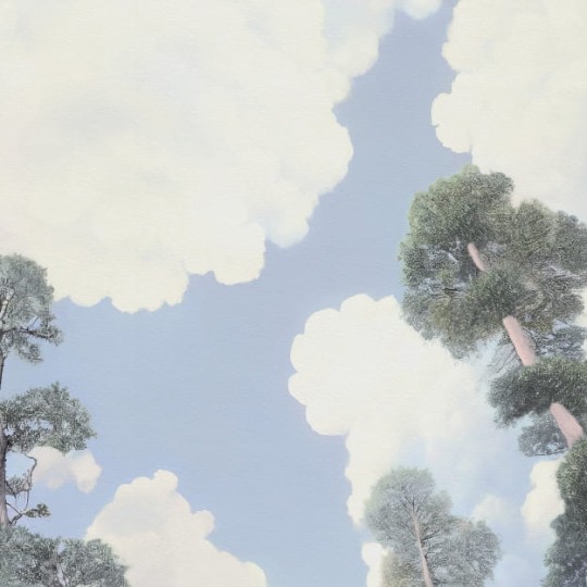 Les Dominotiers DOM_3008 Volume 13 Jardins Sieste Au Jardin - mural w chmury i drzewa