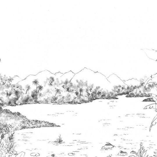 Les Dominotiers DOM_502_SM Volume 7 Contrees Lointaines Hanalei Black & White - mural szkicowany egzotyczny krajobraz