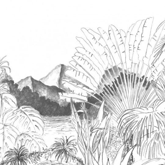 Les Dominotiers DOM_505_SM Volume 7 Contrees Lointaines Itaya Black Black & White - mural w tropikalny krajobraz