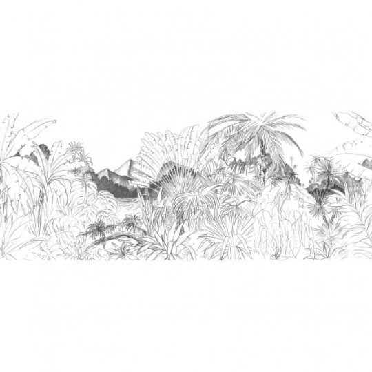 Les Dominotiers DOM_505_SM Volume 7 Contrees Lointaines Itaya Black Black & White - mural w tropikalny krajobraz