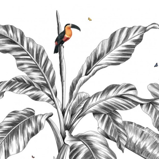Les Dominotiers DOM_511_SM Volume 7 Contrees Lointaines Fly Over Black & White - mural w egzotyczne liście i ptaki