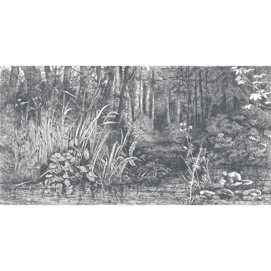 Les Dominotiers DOM_1516_SM Volume 4 Bushy Woods - mural w grawer lasu