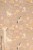 9918fdd5885756cb1b5feb63e57ca14b