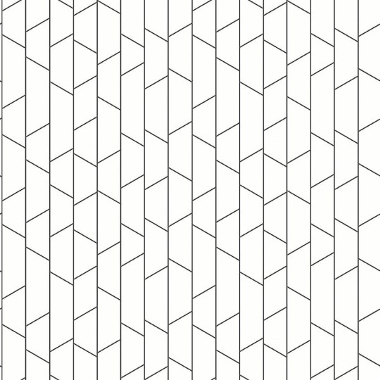 Boras Tapeter 4738 Graphics Angle Black&White - tapeta w linie