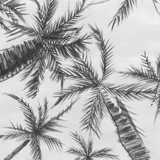 Les Dominotiers DOM_1410-1 Volume 3 Royal Palm Grey - mural w delikatne palmy