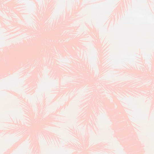 Les Dominotiers DOM_1410-2 Volume 3 Royal Palm Pink - mural w delikatne palmy