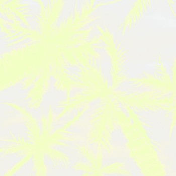fe007b0992a918a781441299a27b9d9b