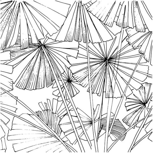 Les Dominotiers DOM_1412-1 Volume 3 Sagamore Black & White - mural w japońskie parasole