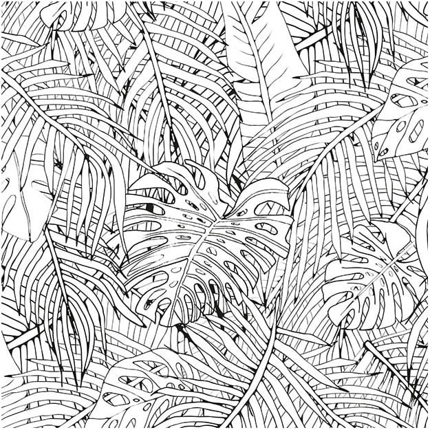 Les Dominotiers DOM_142-1 Volume 3 Jungle Island Black & White - mural w egzotyczne liście w graficznym stylu