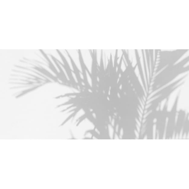 Les Dominotiers DOM_148 Volume 3 Palm Shadow - mural w delikatne palmy