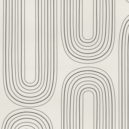 Les Dominotiers DOM_704 Volume 9 Abstraction Curves Black & beige - mural w linie