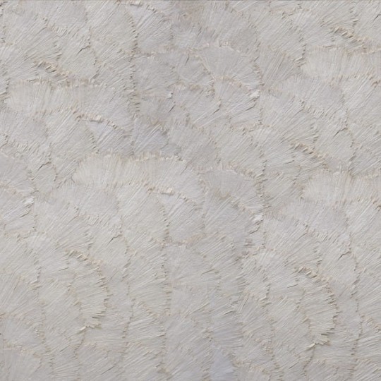 Les Dominotiers DOM_911 Naturalessence Gingko Kraft - mural w liście miłorzębu