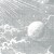 a1486b622f765180ecedcd05dbe58c63