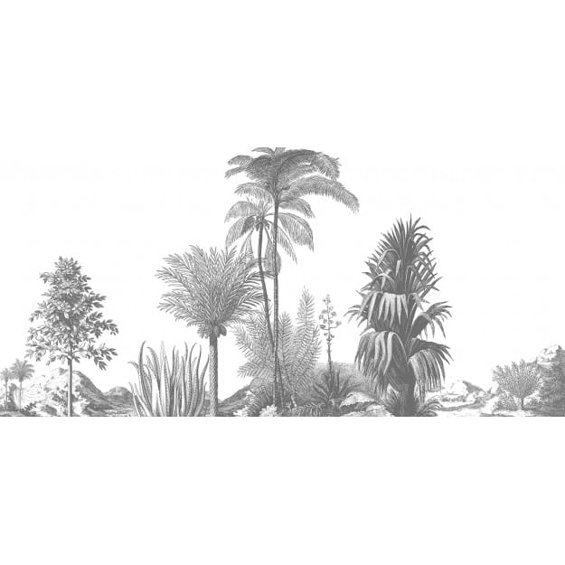 Les Dominotiers DOM_306/1 Volume 5 Aloes Grey - mural w palmy i aloes