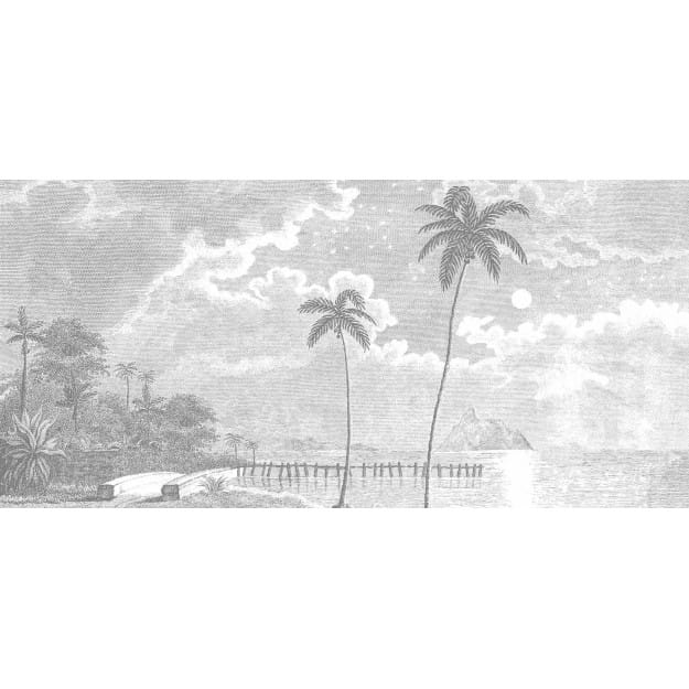 Les Dominotiers DOM_308 Volume 5 Palmar - mural w delikatne palmy