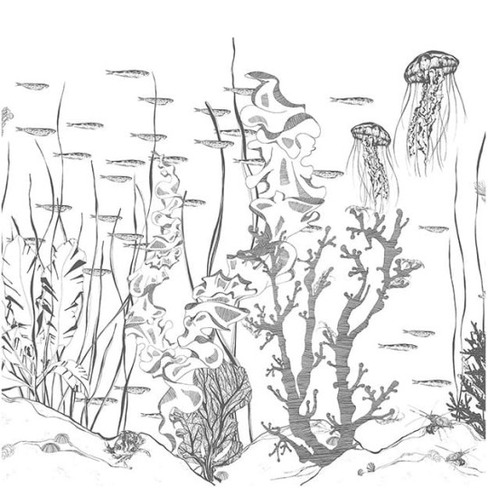 Les Dominotiers DOM_311 Volume 5 Underwater - mural w podwodny świat