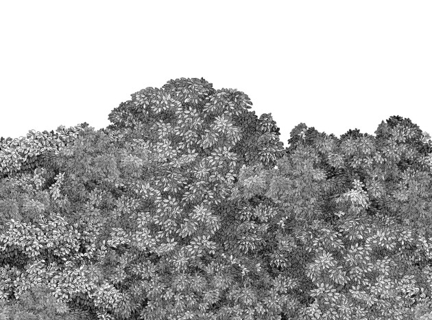 Rebel Walls R18793 Scenic Landscapes Belle Buisson Black - mural w roślinny motyw